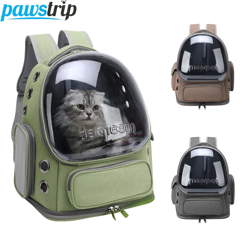 Sac à dos capsule transparent pour chat et petit chien — Confort & visibilité