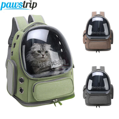 Sac à dos capsule transparent pour chat et petit chien — Confort & visibilité