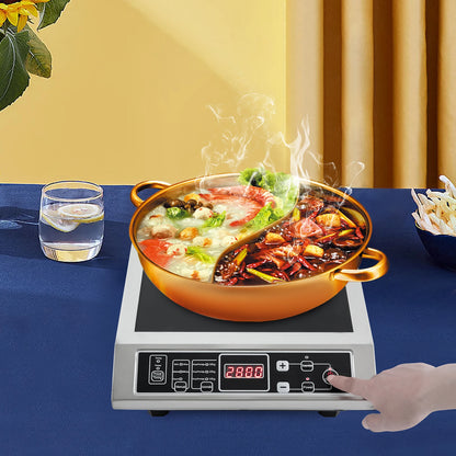 Plaque de cuisson à induction 3500 W, réglable, professionnelle, avec technologie de chauffage IGBT