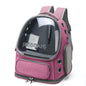 Sac à dos capsule transparent pour chat et petit chien — Confort & visibilité