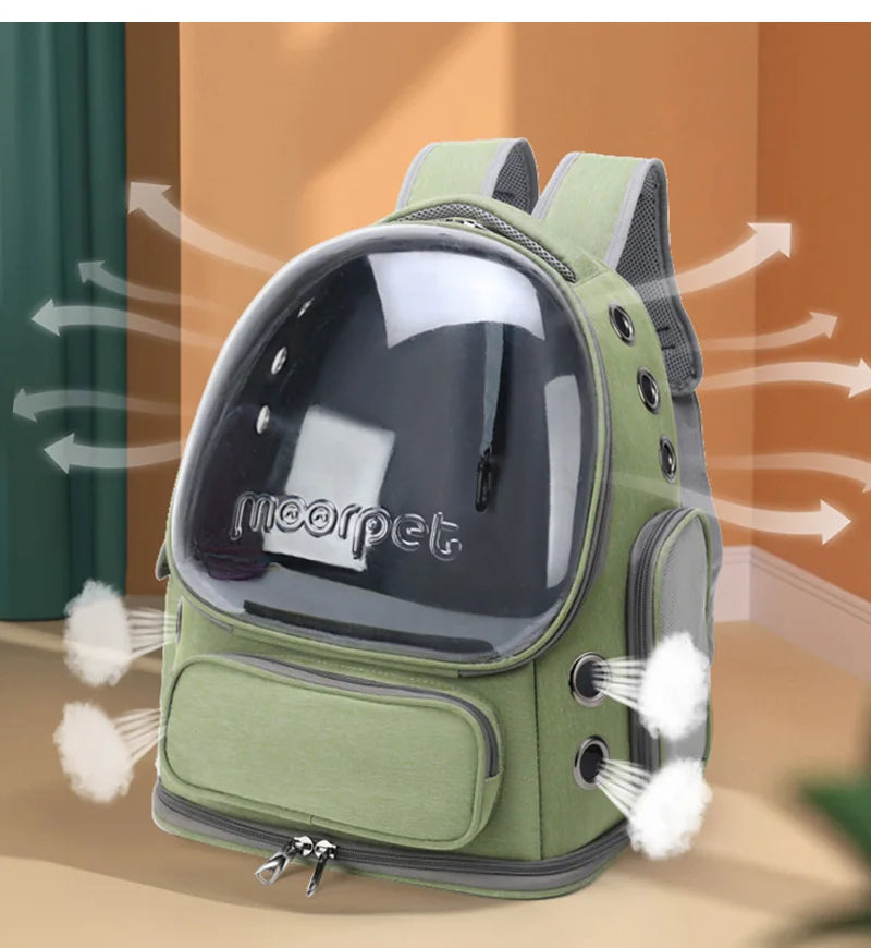 Sac à dos capsule transparent pour chat et petit chien — Confort & visibilité