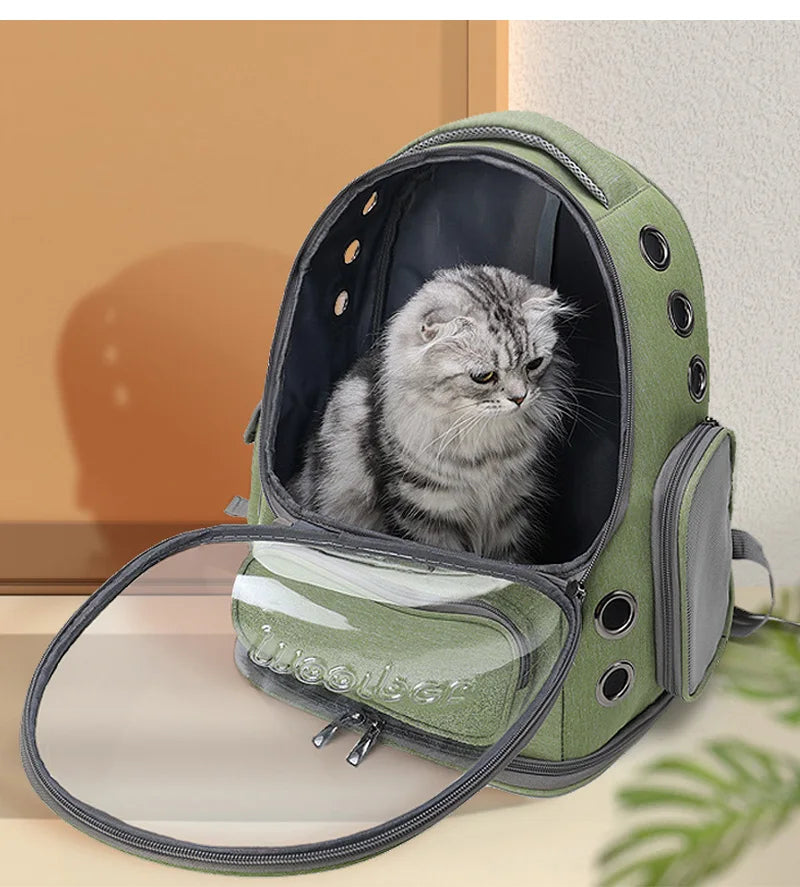 Sac à dos capsule transparent pour chat et petit chien — Confort & visibilité