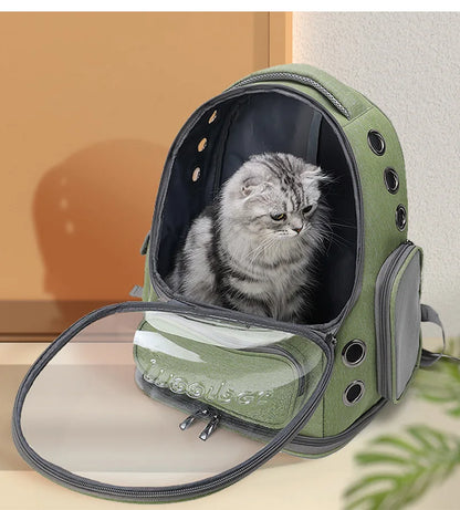 Sac à dos capsule transparent pour chat et petit chien — Confort & visibilité