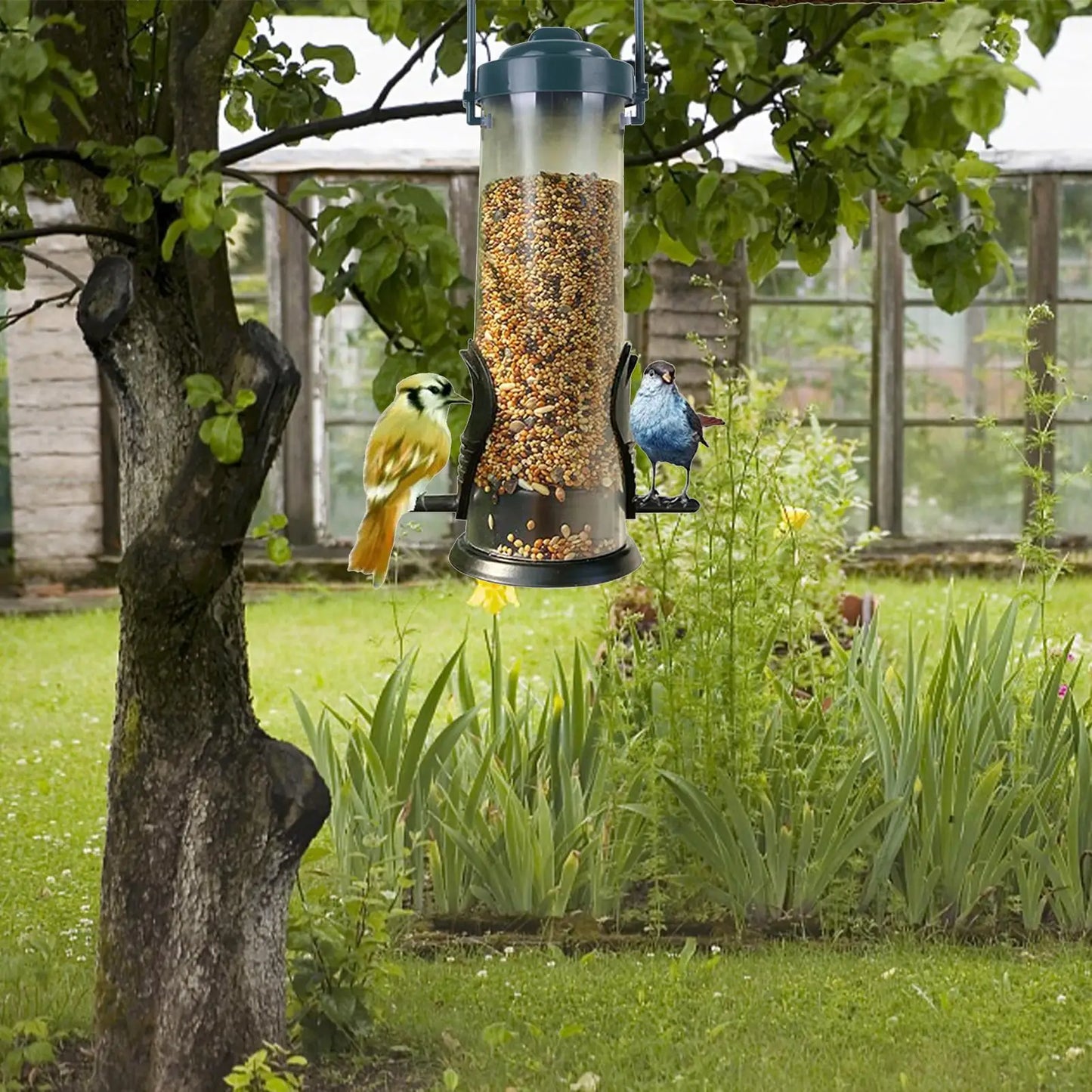Mangeoire à graines pour oiseaux sauvages, accessoire pour animaux de compagnie, suspendue pour jardin ou enclos, outil d'alimentation pour oiseaux, anti-écureuils, décorations extérieures