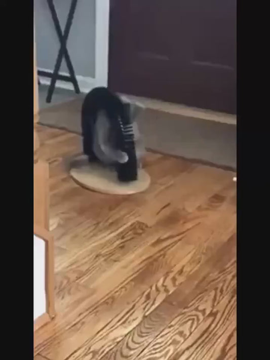 Arche de toilettage pour chat avec brosse auto-massage et griffoir intégré
