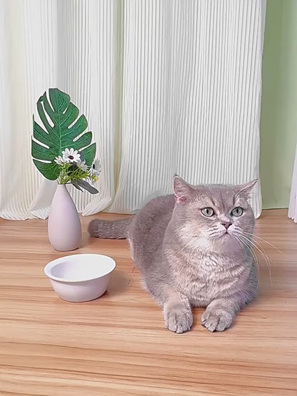 Gamelle automatique pour chats et chiens avec distributeur d’eau et nourriture